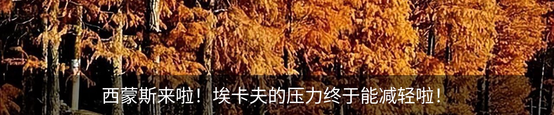 资讯中心